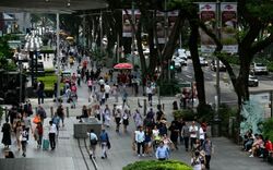 Ion Orchard (D9), Retail #544329551